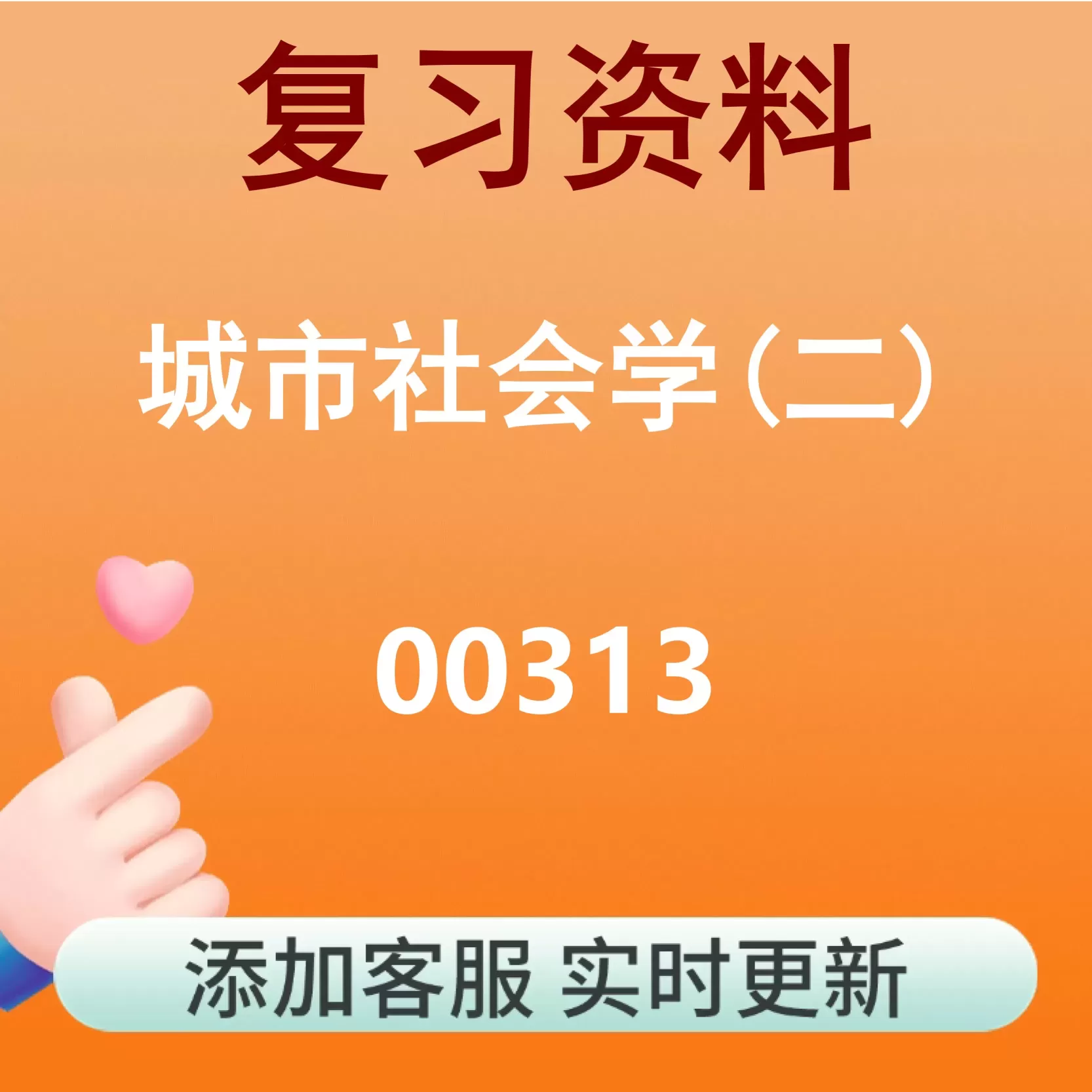 00313_城市社会学(二)_自考复习资料